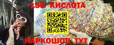 прущие грибы Ставрополь