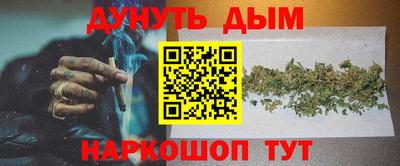 прущие грибы Ставрополь