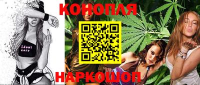 прущие грибы Ставрополь