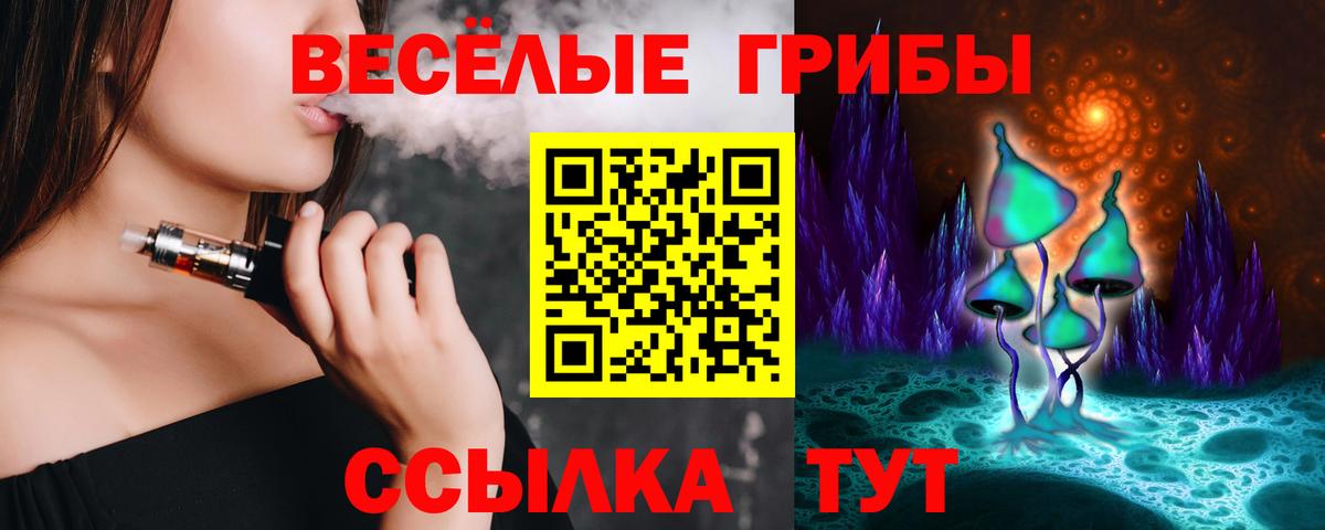 Псилоцибиновые грибы GOLDEN TEACHER Сокол